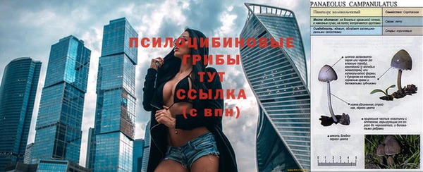 бутират Осташков