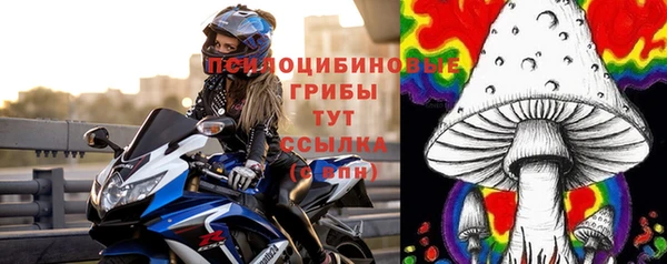 мдпв Пересвет